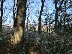 ���R�R��