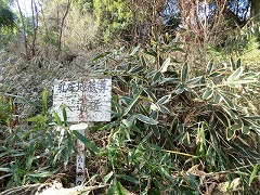 ���[�n�����ߓ��̓��W