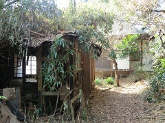 �n������O�̔p��