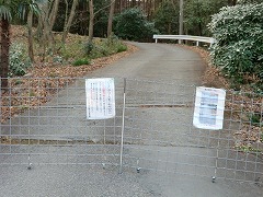 �C�m�V�V�����t�F���X