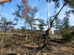 �����f�g��