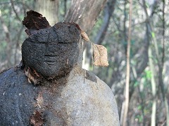 �_�a�Ȓn���l