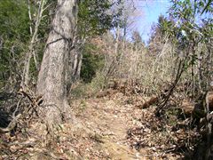 �Δ�̉E�̎R��