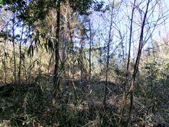 ����R�R��