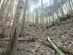 �A�ђn�̋}�Ζ�