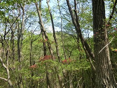 �T�Q�R����H