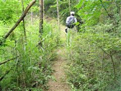 �ׂ�������o��