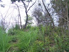 �ŏ��̃s�[�N