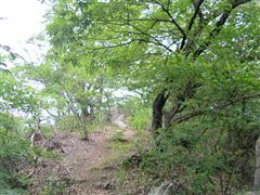 �ӂ��߂̃s�[�N