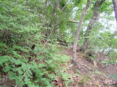 �R�������̃g�����[�v