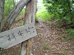 ���������R��