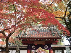 �R�쒷�ю��̍g�t