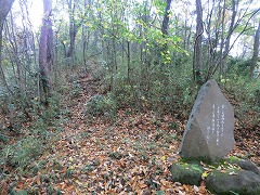 �Δ�̂���R��