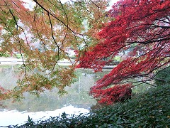 �����r�̍g�t