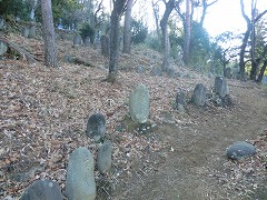 �R���̍M�\��