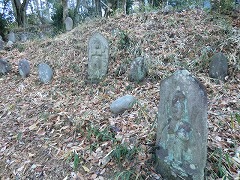 �ʋ�����