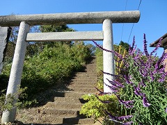 �_�Ђ̐Β���