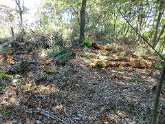 ���蕥��ꂽ���u