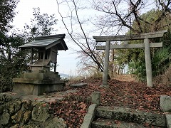 ����_�Ћ�����