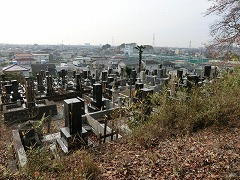 ���͊ω�����n