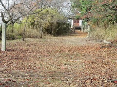 �L������