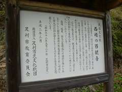 ����̕S�ω��̈ē���