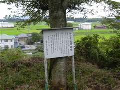 ���s�p���̏��O��