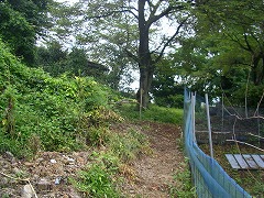 ���_������