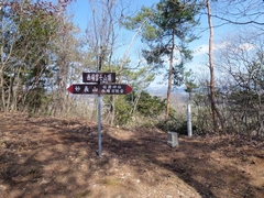 ����x�m�R��