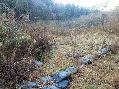 �r�ꂽ�L��