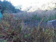 ���h����