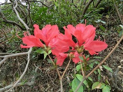 ���}�c�c�W