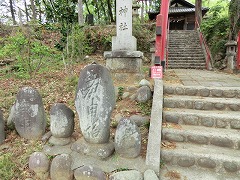 �Βi�e�̍M�\��