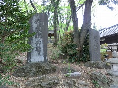 ��v�L�O��A������