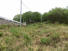 ���n�ƓV��������ԏ�