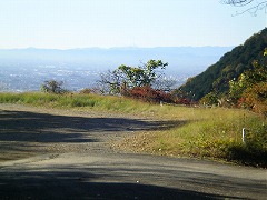 �W�]���ԏ�ƕx�m�R