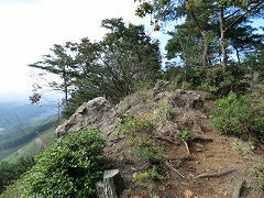 ���̔���