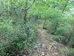 �ؗ��̓���