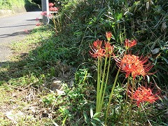 �q�K���o�i