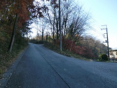 ���Ɍ�������