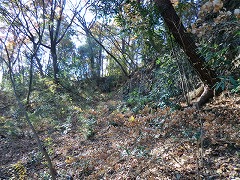 �K���ȂƂ��납��