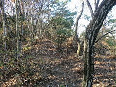 ���R�R��