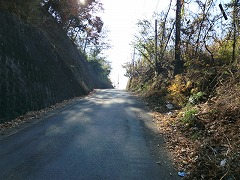 ����������ɏ��