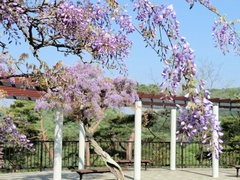 ���ƓW�]�e���X