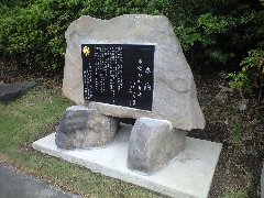 �D�P�F��̉̔�