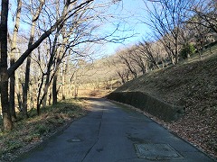 ���݂��J�V����