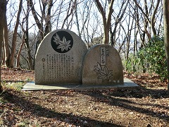 ���݂��J�Δ�