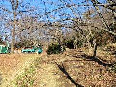 �x�e���̍L��