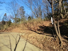 ����ւ̓o�R��