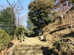 ����ɏ��